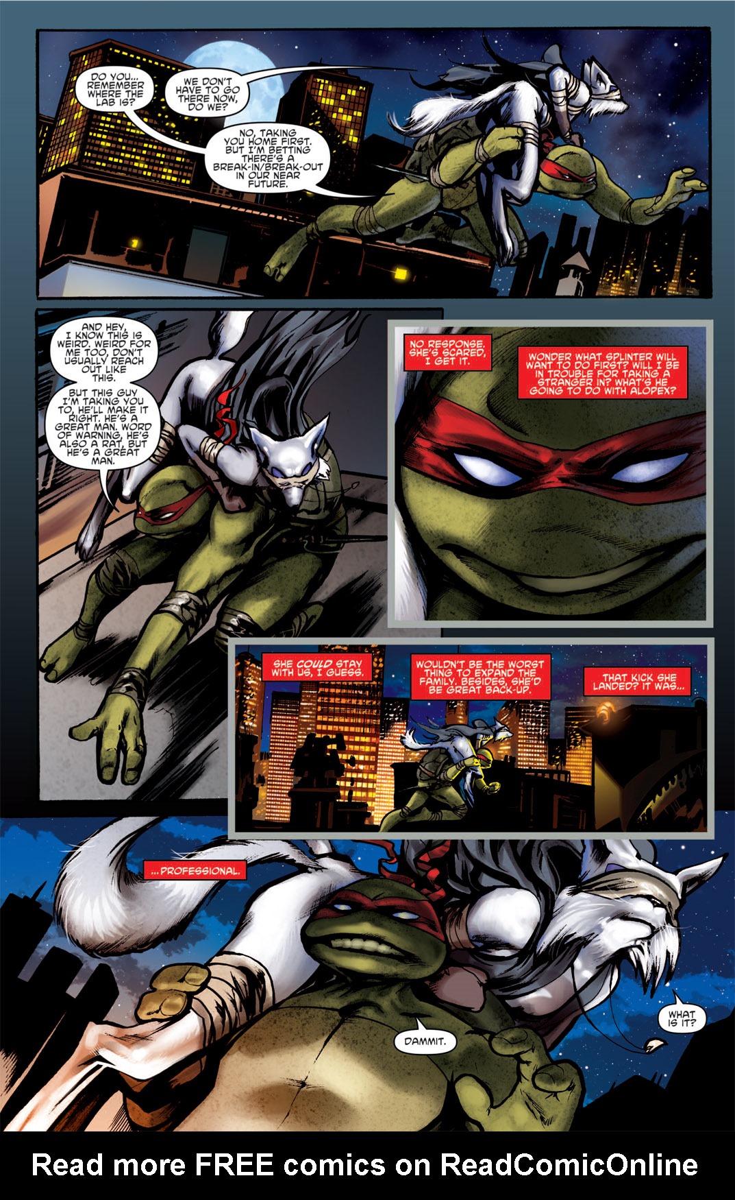 Read online Teenage Mutant Ninja Turtles Micro-Series comic -  Issue #1 - 19
