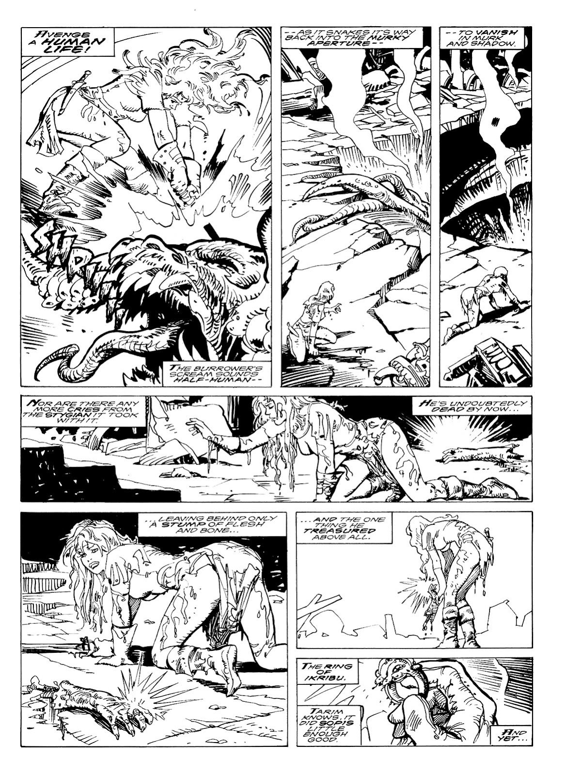 The Savage Sword Of Conan issue 231 - Page 40