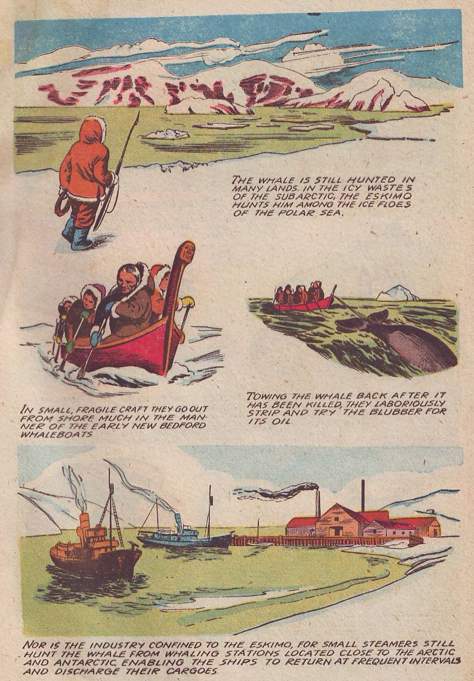 Read online Animal Comics comic -  Issue #26 - 49