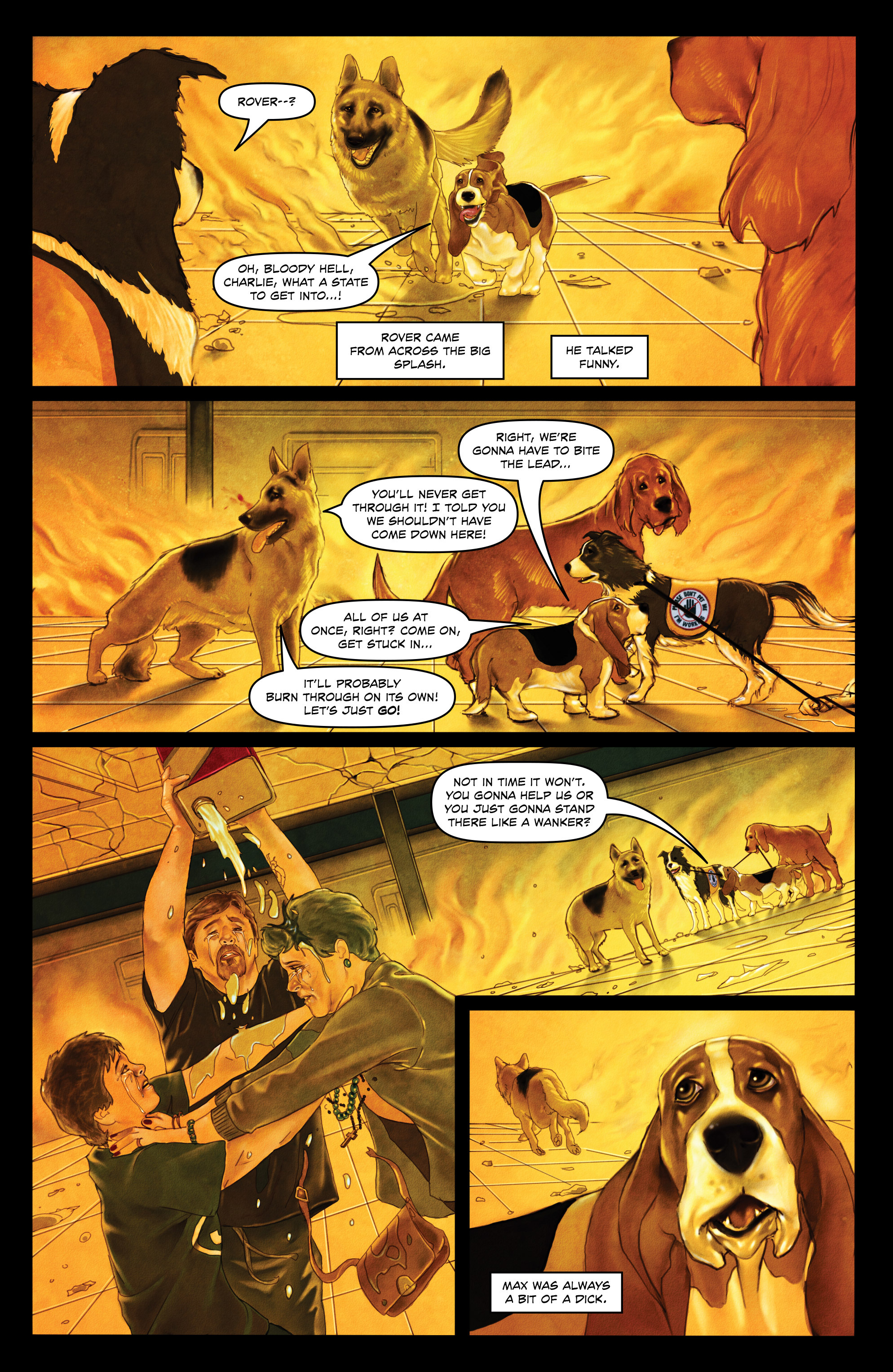 Read online Rover Red Charlie comic -  Issue #1 - 10