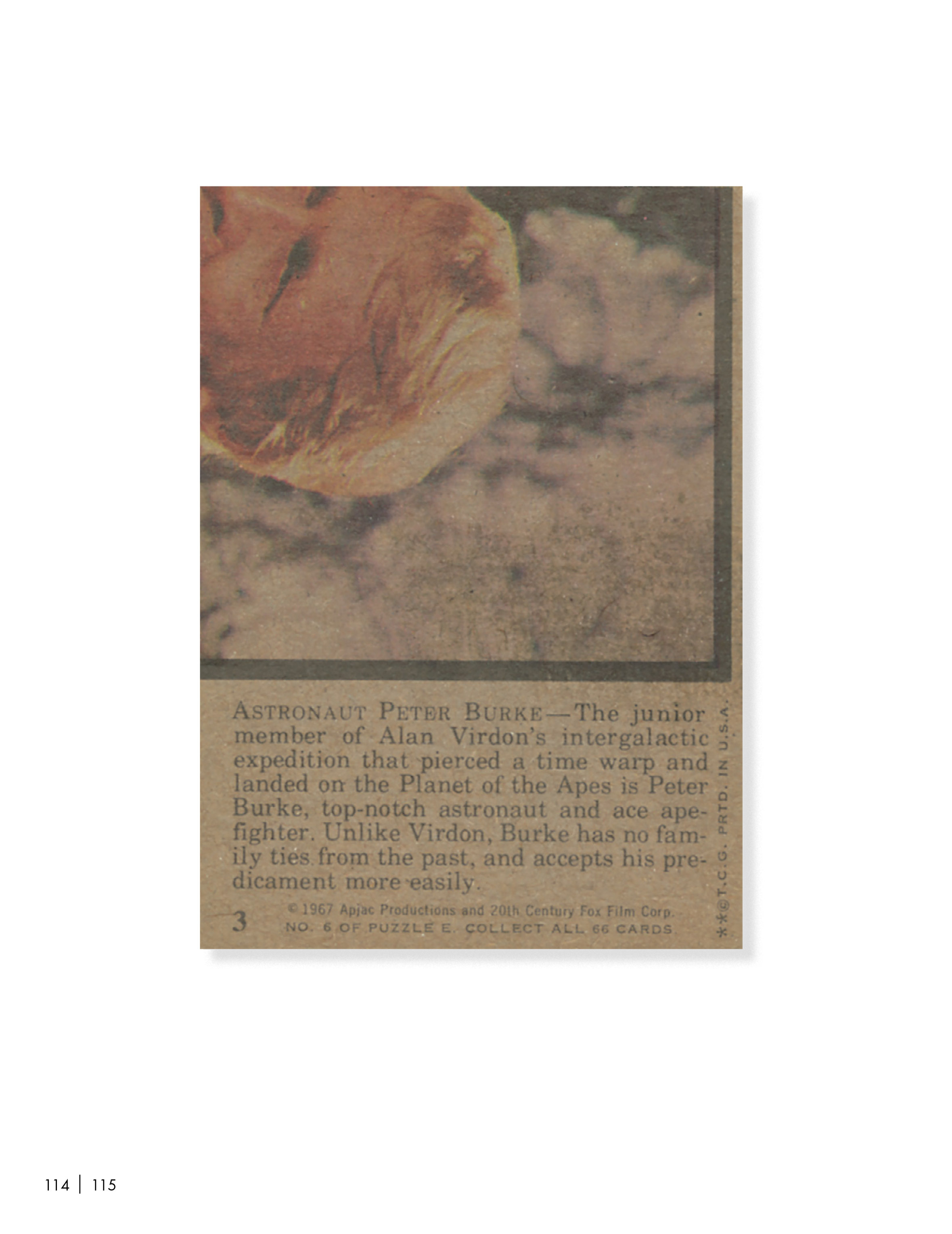 Read online Planet of the Apes: The Original Topps Trading Card Series comic -  Issue # TPB (Part 2) - 19