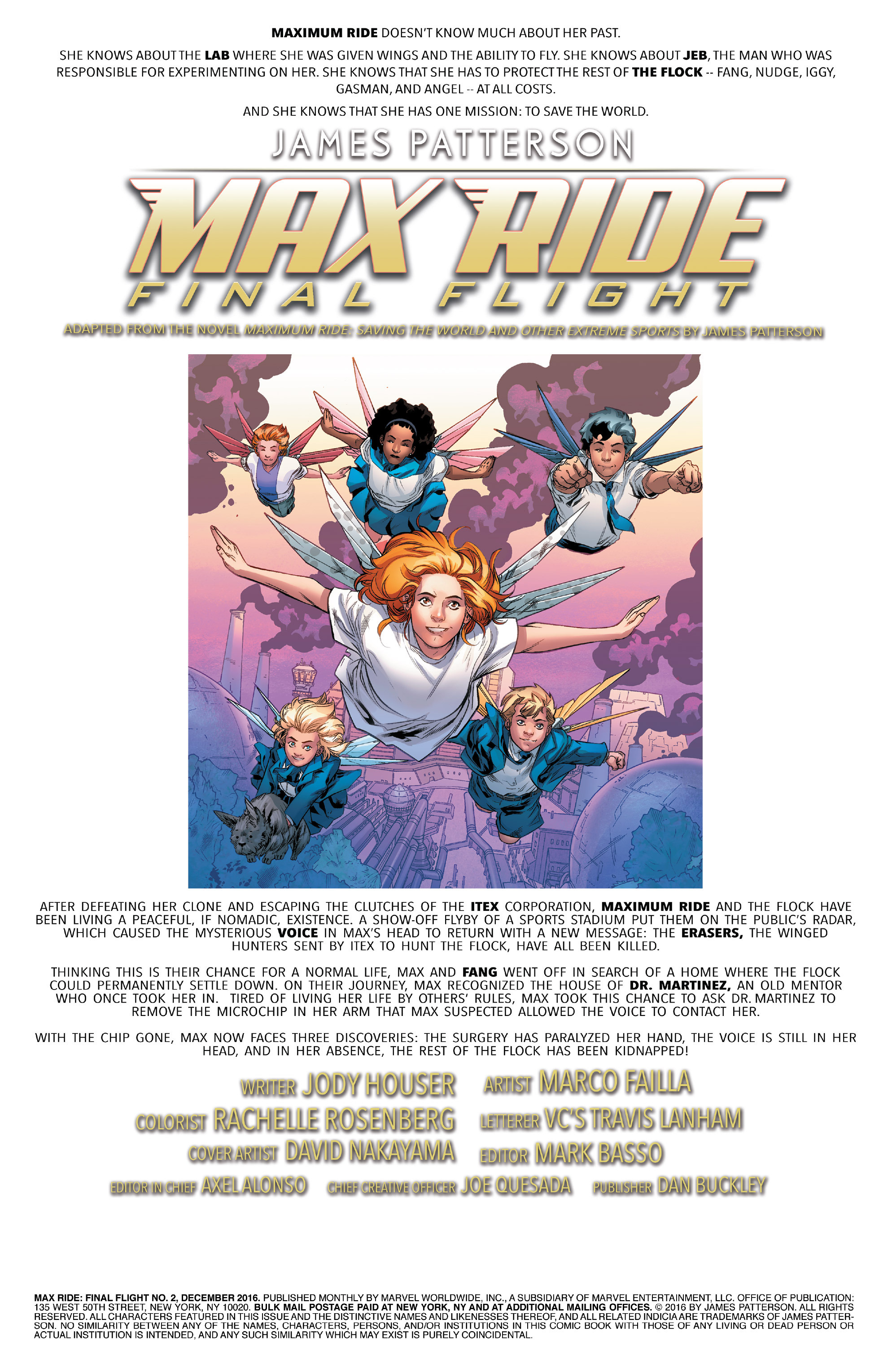 Read online Max Ride: Final Flight comic -  Issue #2 - 2