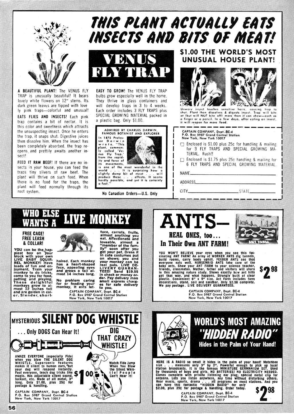 Read online Blazing Combat comic -  Issue #4 - 56