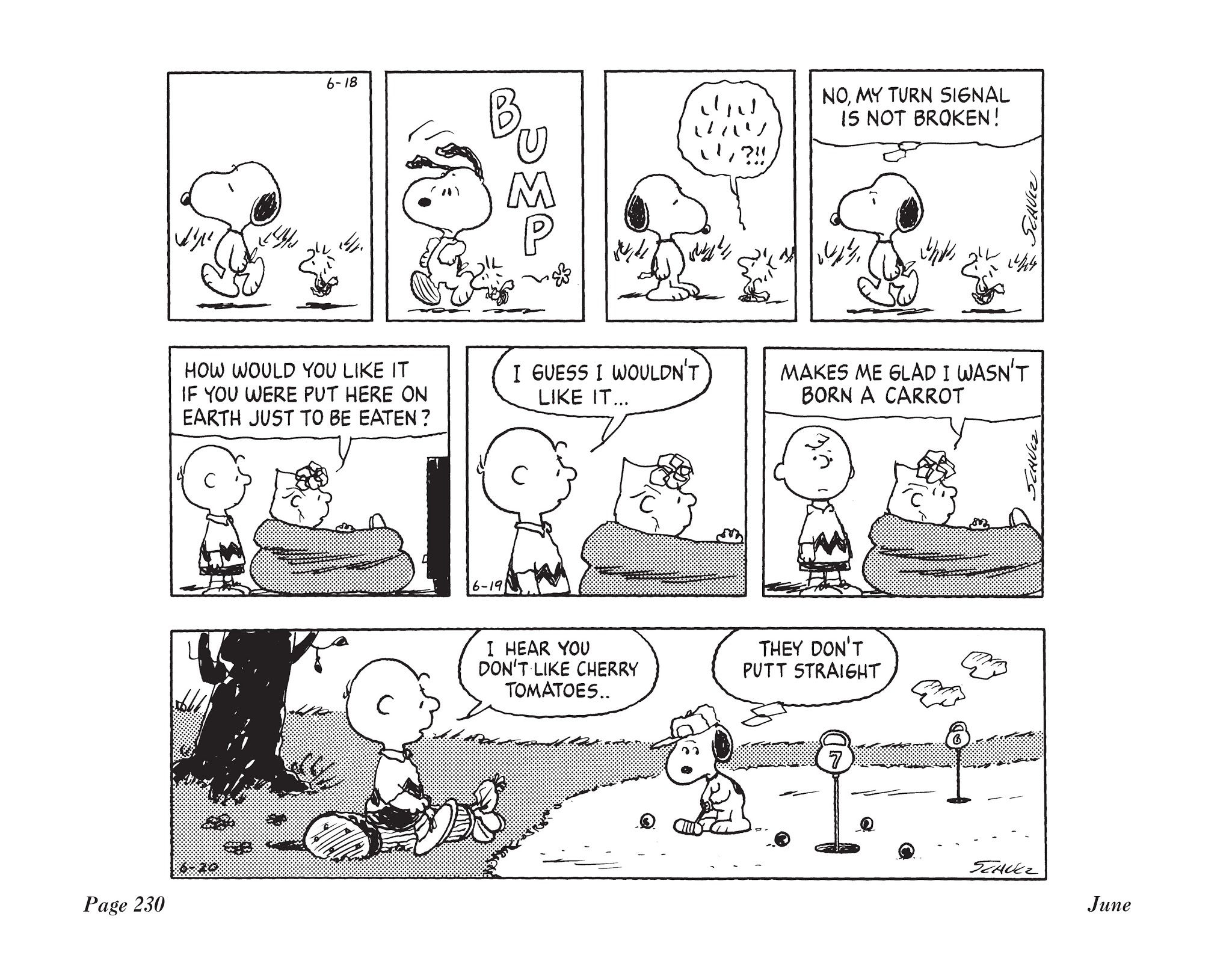 Read online The Complete Peanuts comic -  Issue # TPB 20 - 245