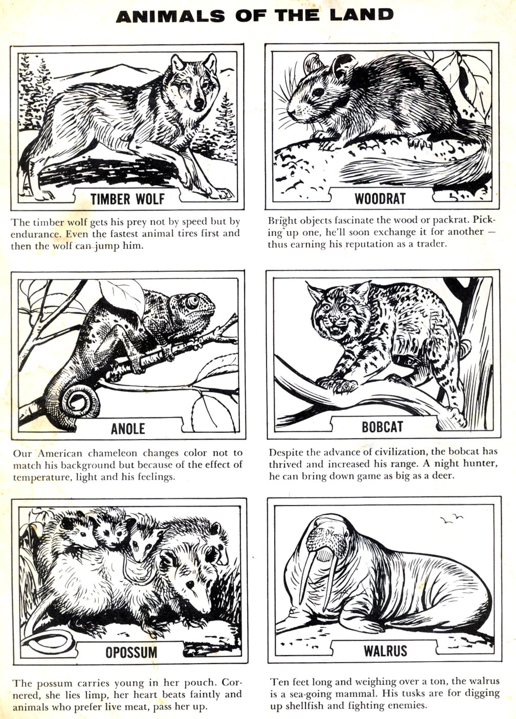 Read online Four Color Comics comic -  Issue #1119 - 2