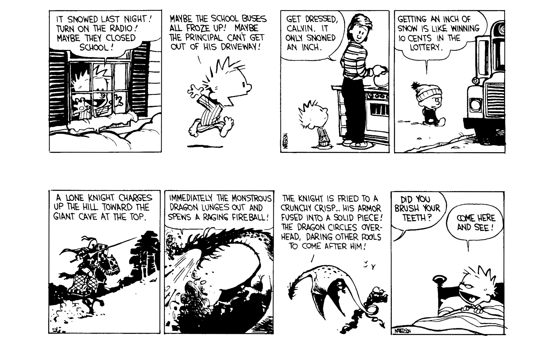 Read online Calvin and Hobbes comic -  Issue #5 - 12