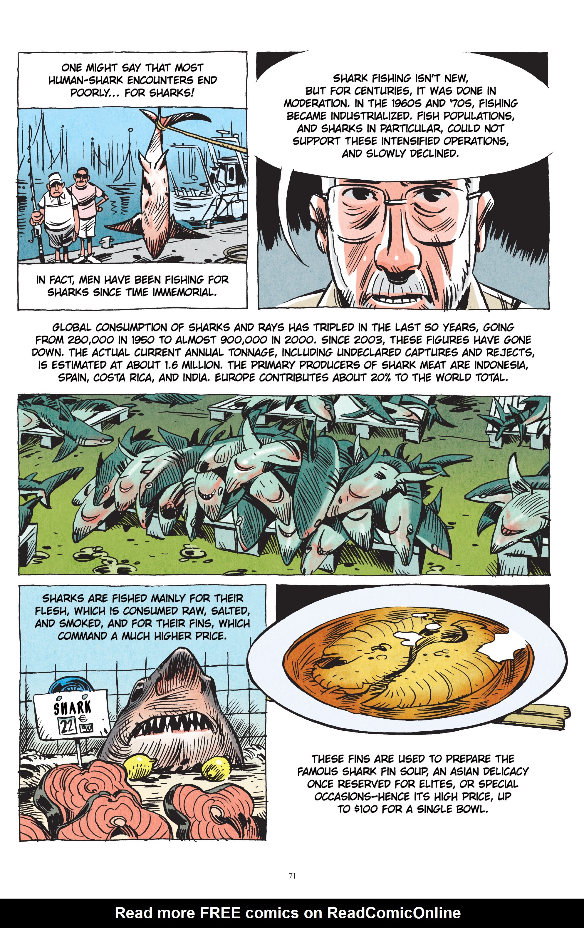 Read online Little Book of Knowledge: Sharks comic -  Issue # TPB - 71