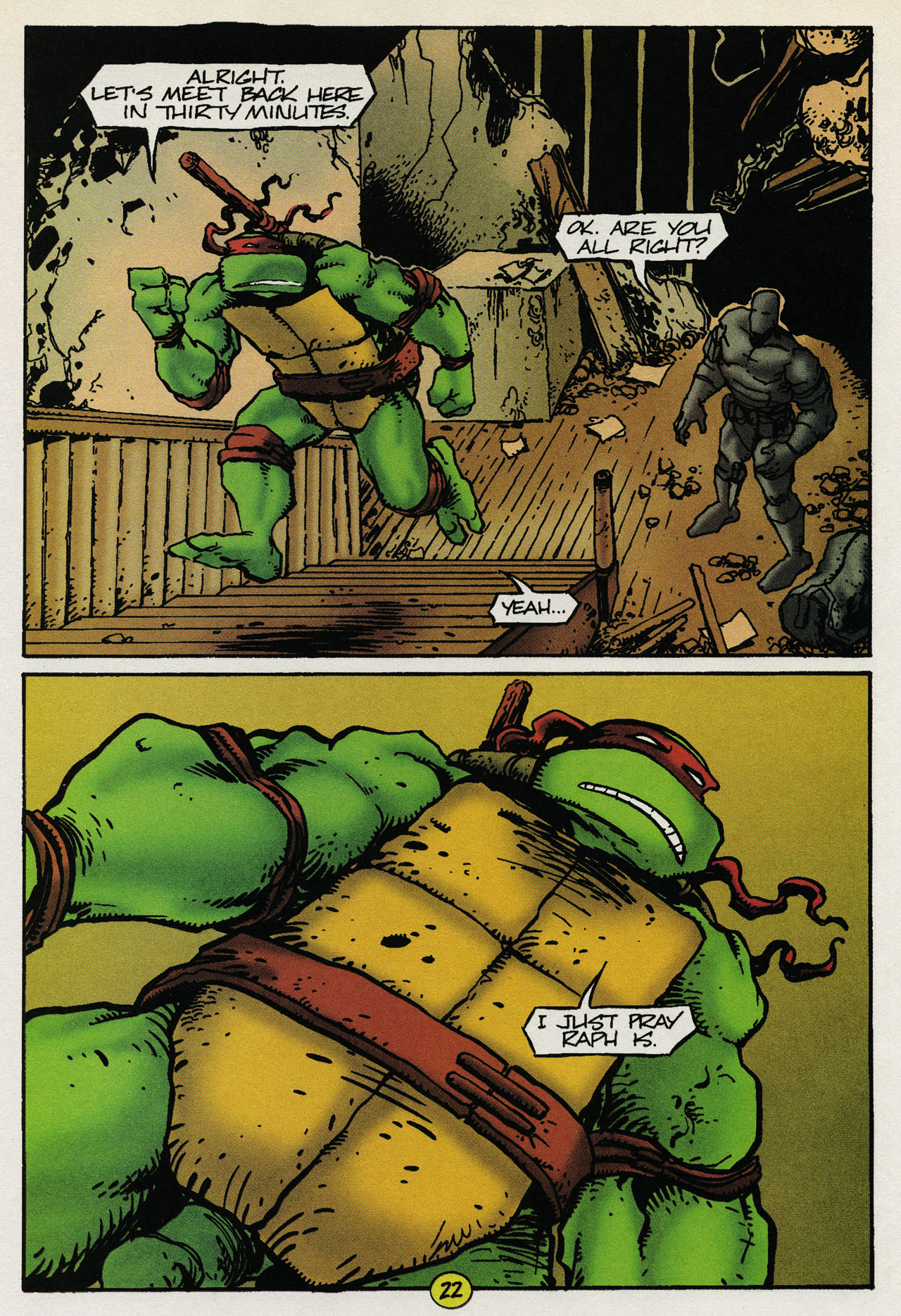 Teenage Mutant Ninja Turtles (1993) Issue #8 #8 - English 24