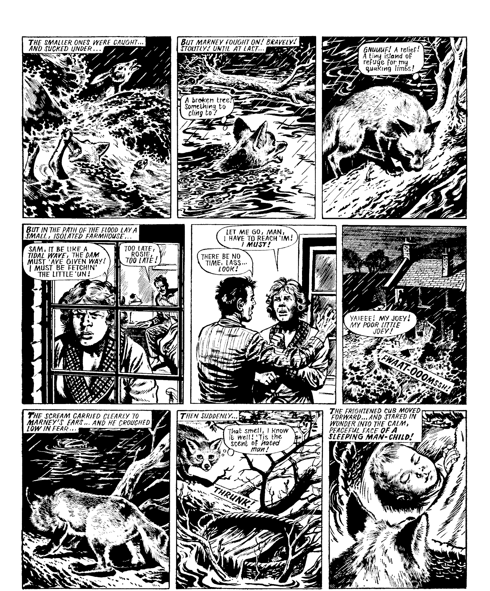 Read online Marney the Fox comic -  Issue # TPB (Part 1) - 24