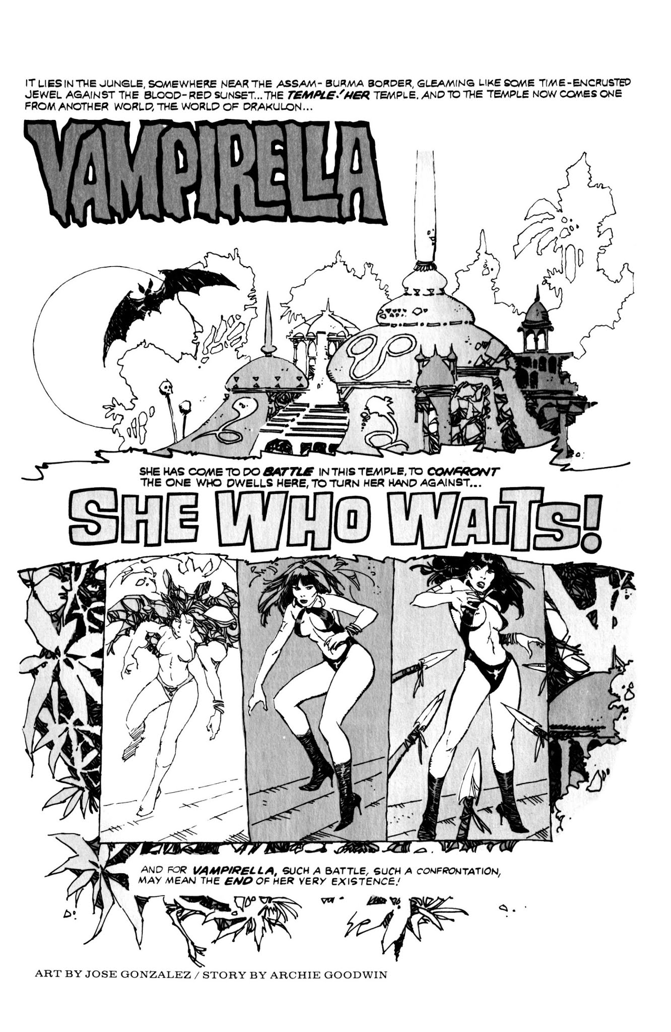 Read online Vampirella: The Essential Warren Years comic -  Issue # TPB (Part 5) - 39