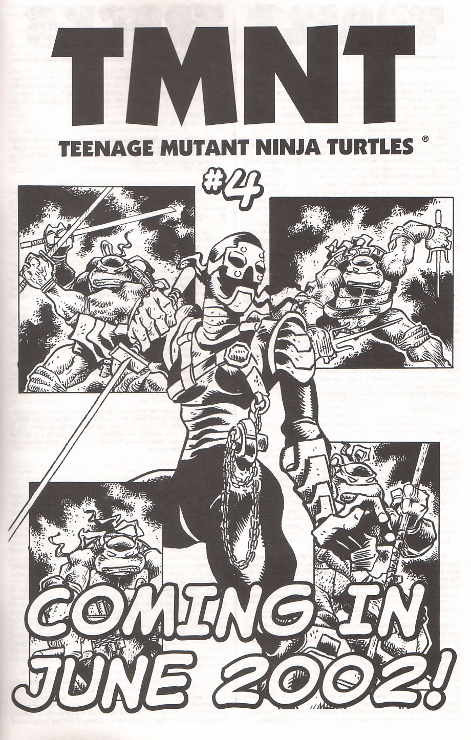 TMNT: Teenage Mutant Ninja Turtles Issue #3 #3 - English 51