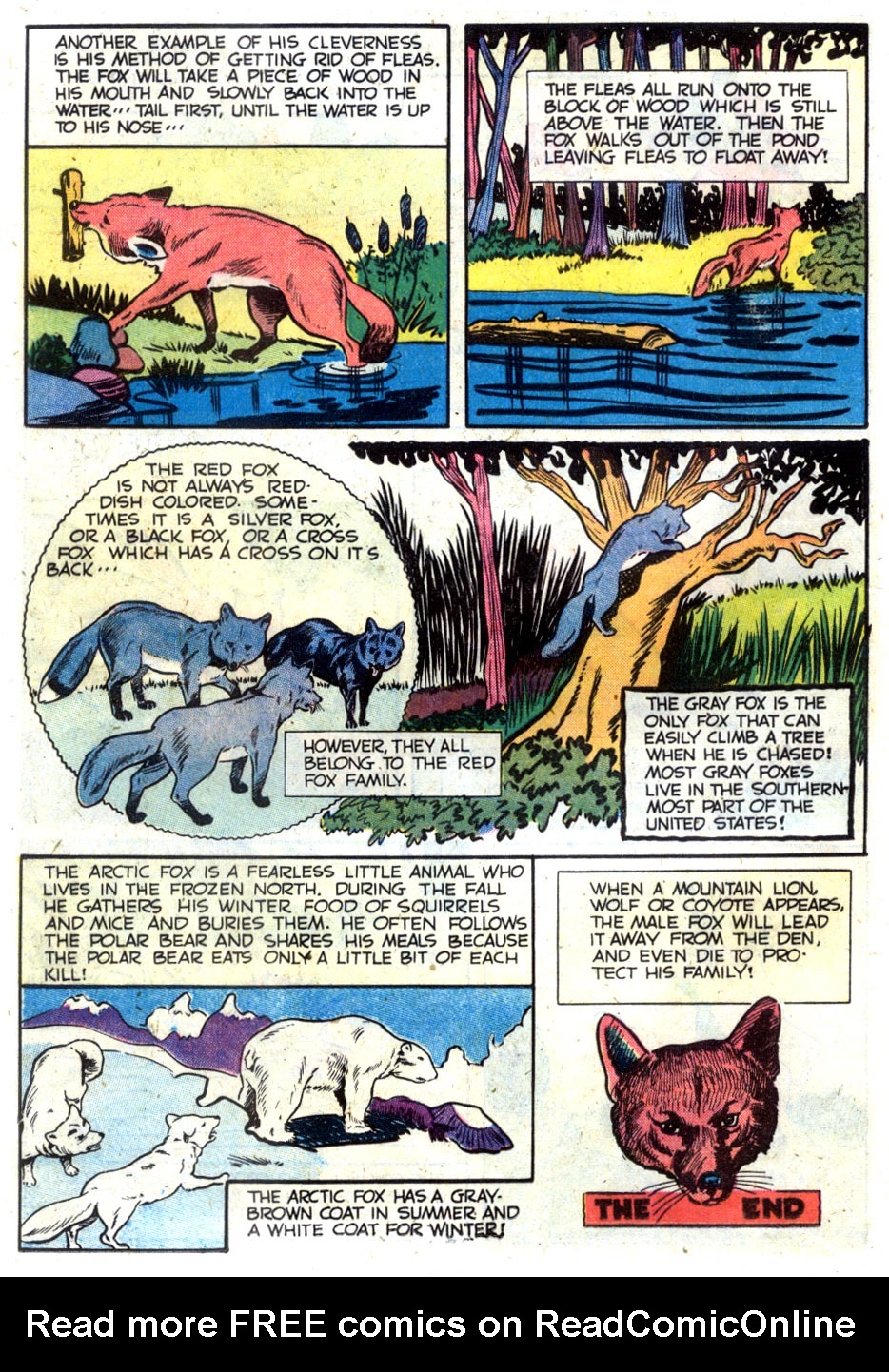 Read online Little Archie In Animal Land comic -  Issue #1 - 12