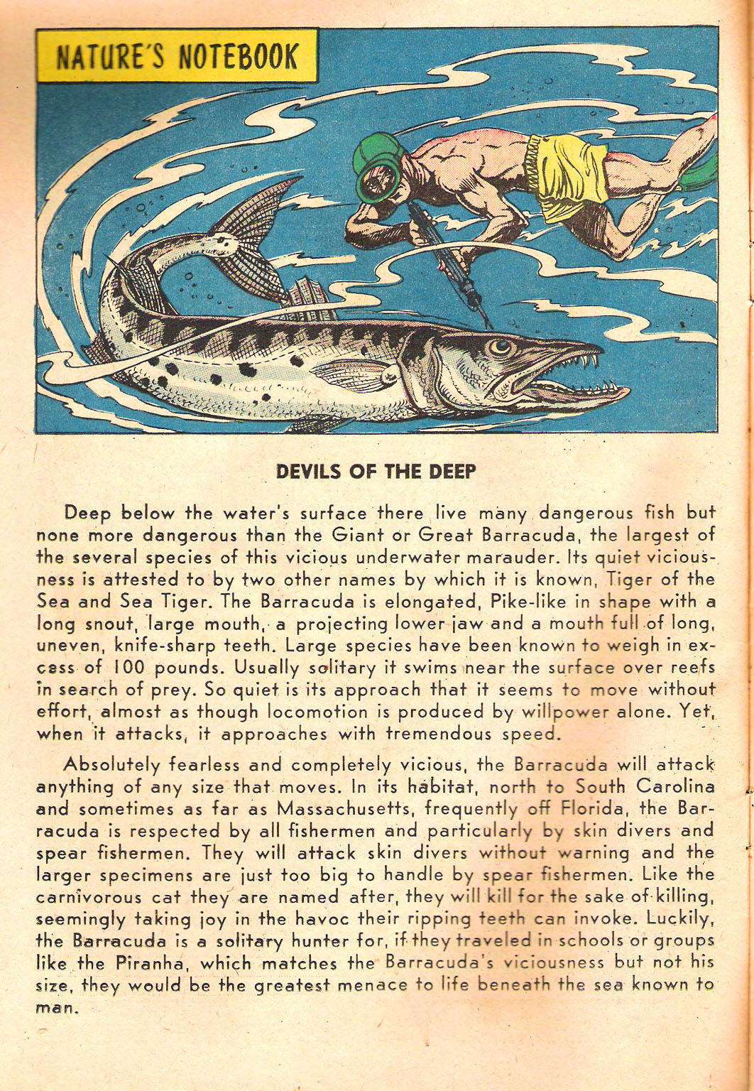 Read online Wilbur Comics comic -  Issue #83 - 10