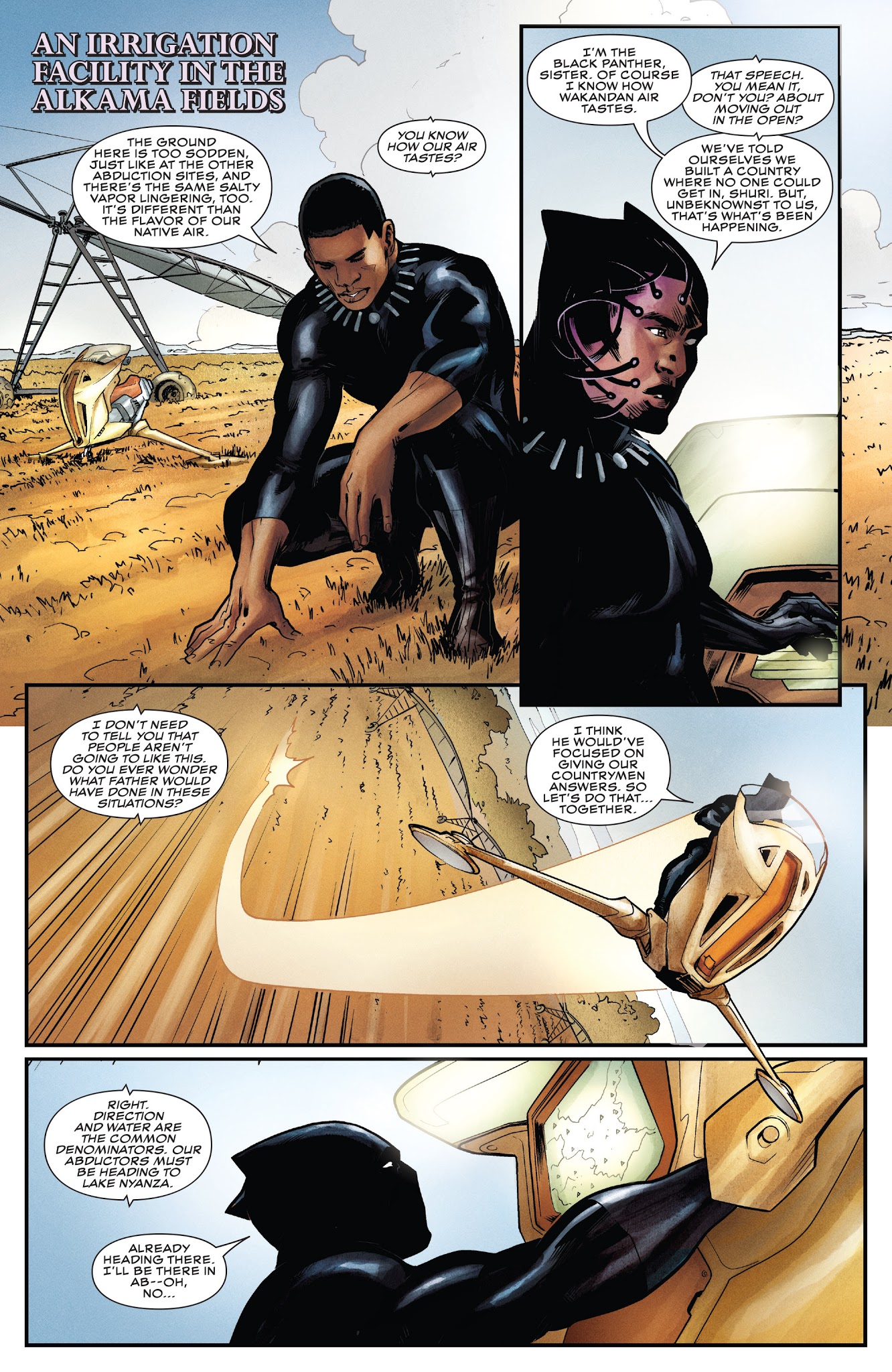Read online Rise of the Black Panther comic -  Issue #2 - 15