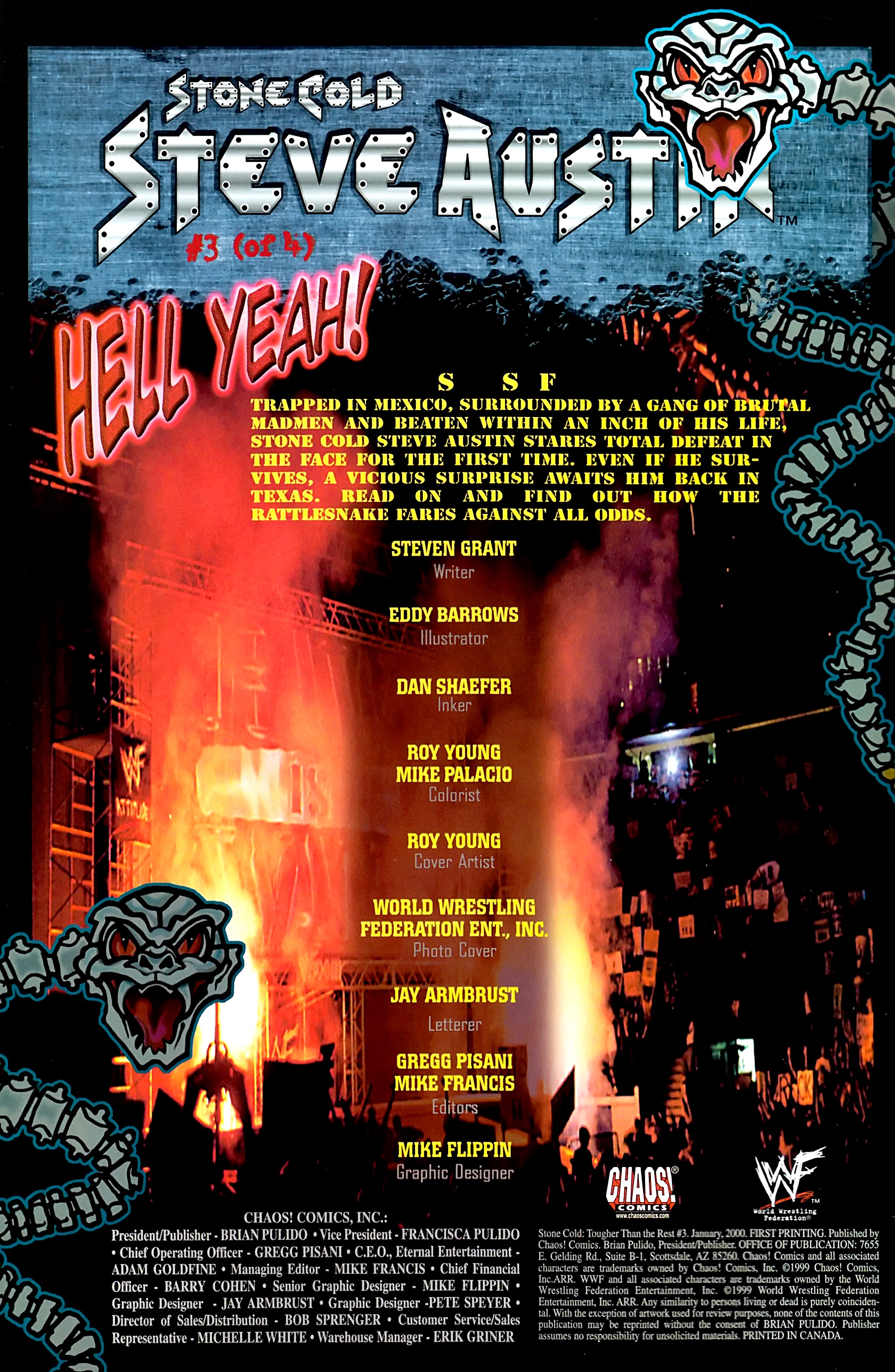 Read online Stone Cold Steve Austin comic -  Issue #3 - 2