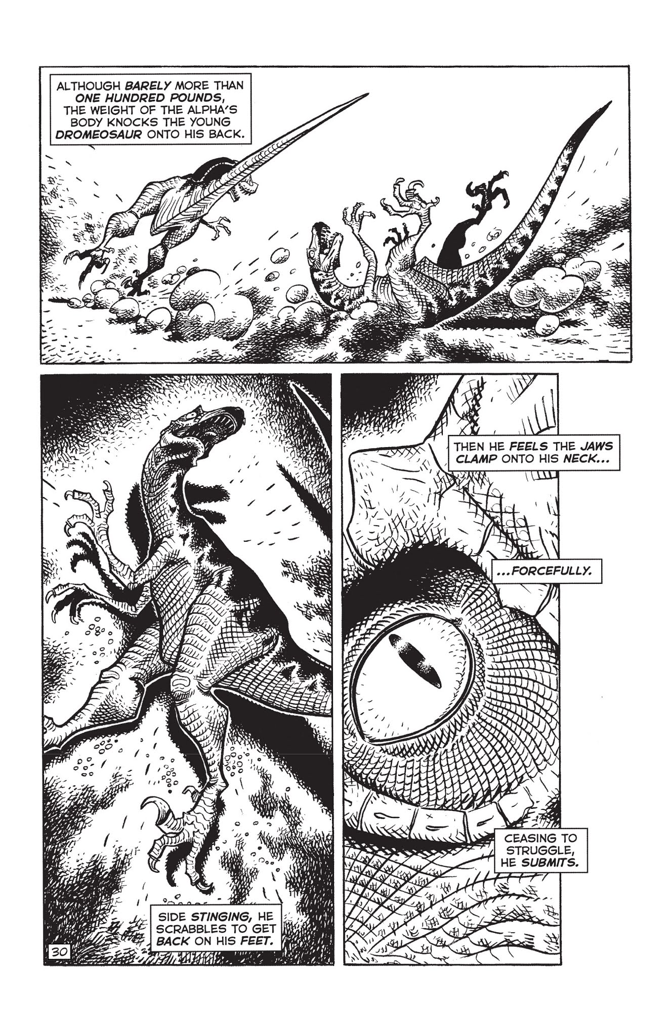 Read online Paleo: Tales of the late Cretaceous comic -  Issue # TPB (Part 1) - 45