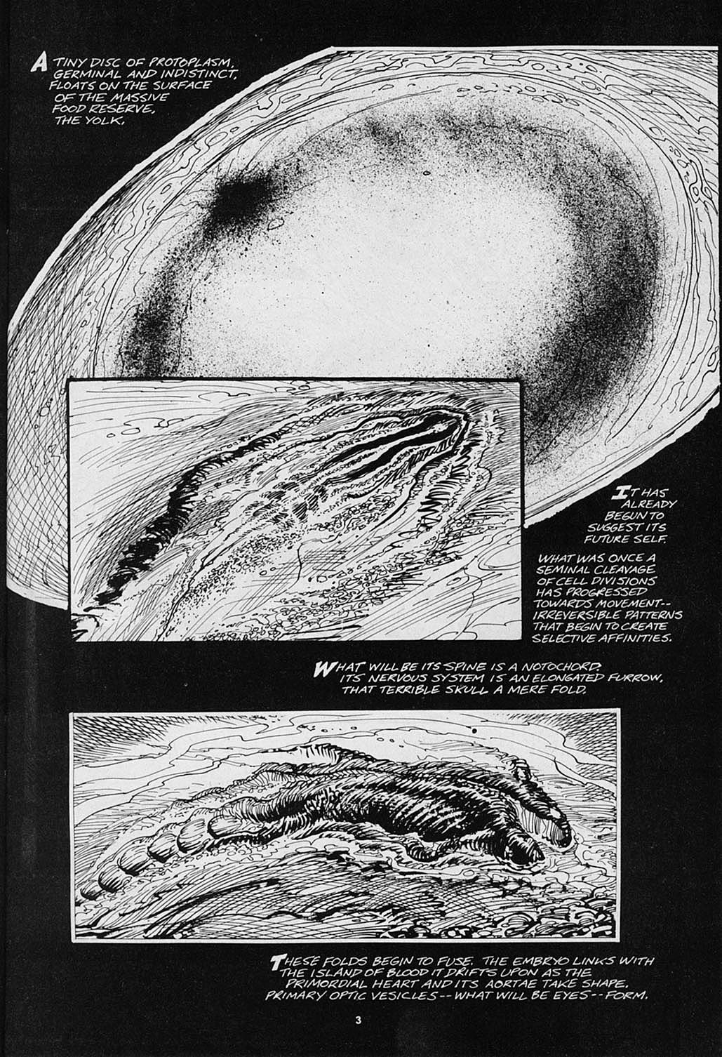 Read online S.R. Bissette's Tyrant comic -  Issue #3 - 5