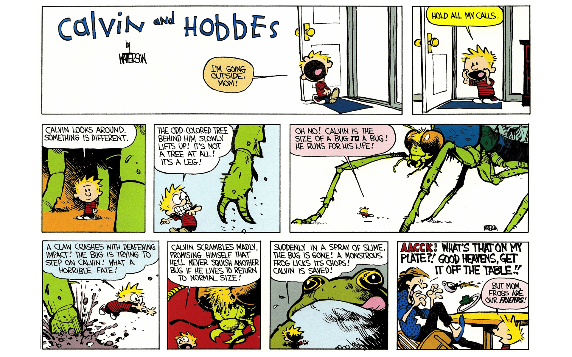 Read online Calvin and Hobbes comic -  Issue #3 - 18