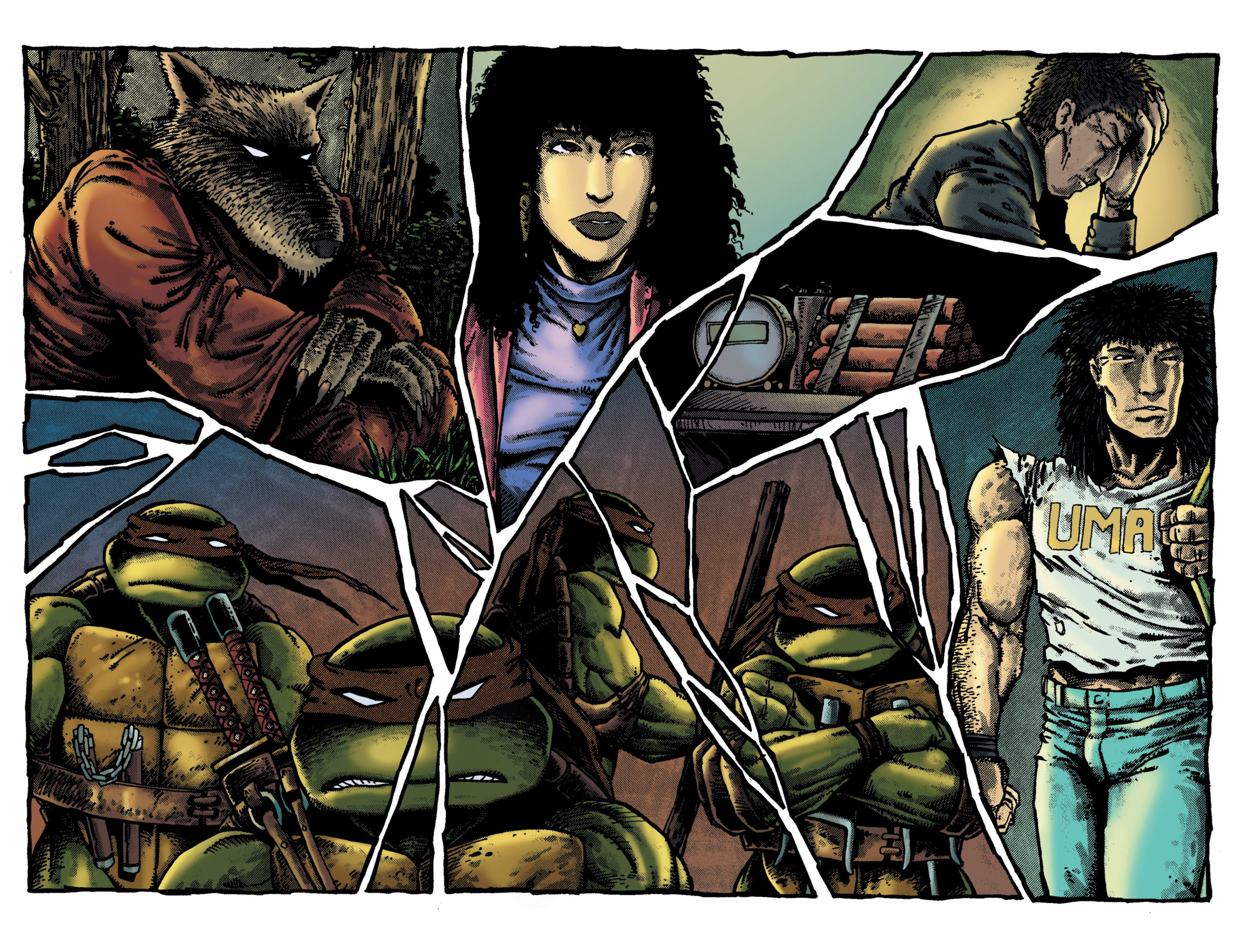 Read online Teenage Mutant Ninja Turtles Color Classics (2015) comic -  Issue #3 - 13