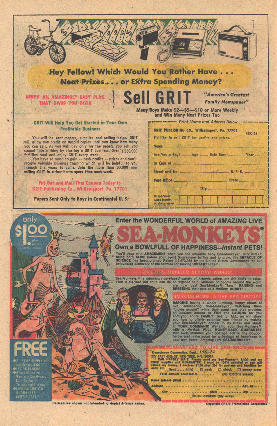 Read online Walt Disney Showcase (1970) comic -  Issue #21 - 14
