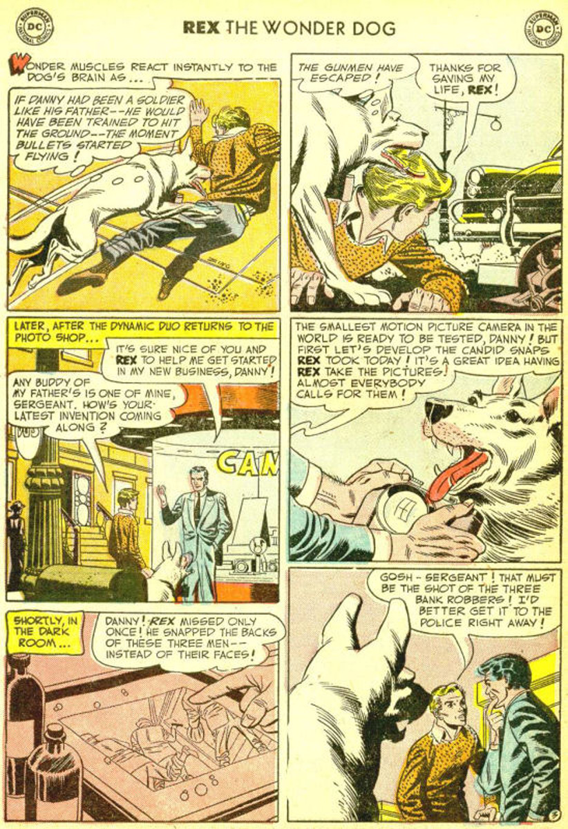 Read online The Adventures of Rex the Wonder Dog comic -  Issue #3 - 29