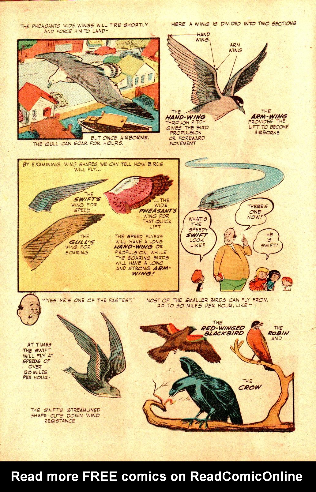 Read online Little Archie In Animal Land comic -  Issue #18 - 18