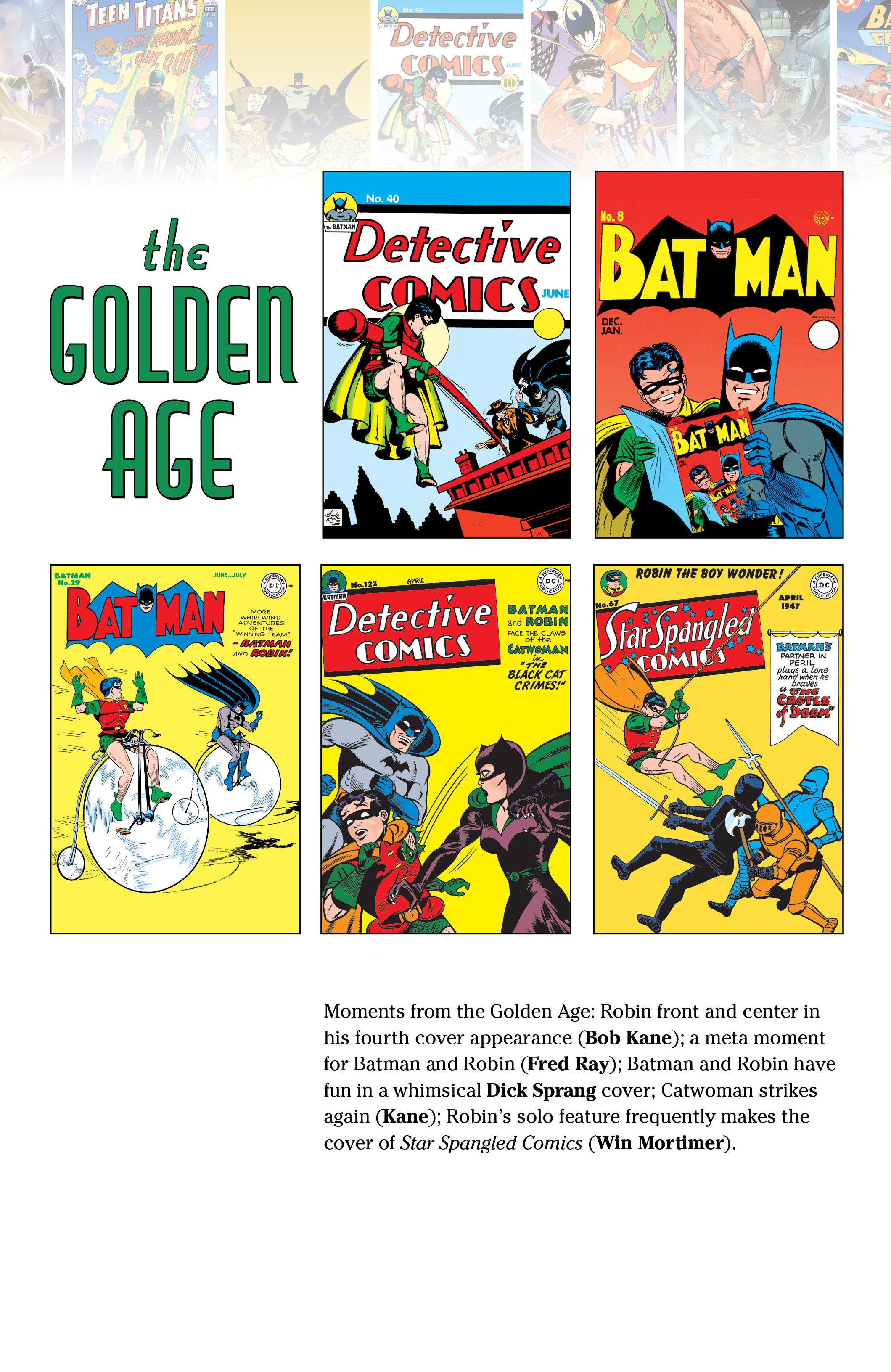 Read online Robin: 80 Years of the Boy Wonder: The Deluxe Edition comic -  Issue # TPB (Part 4) - 96