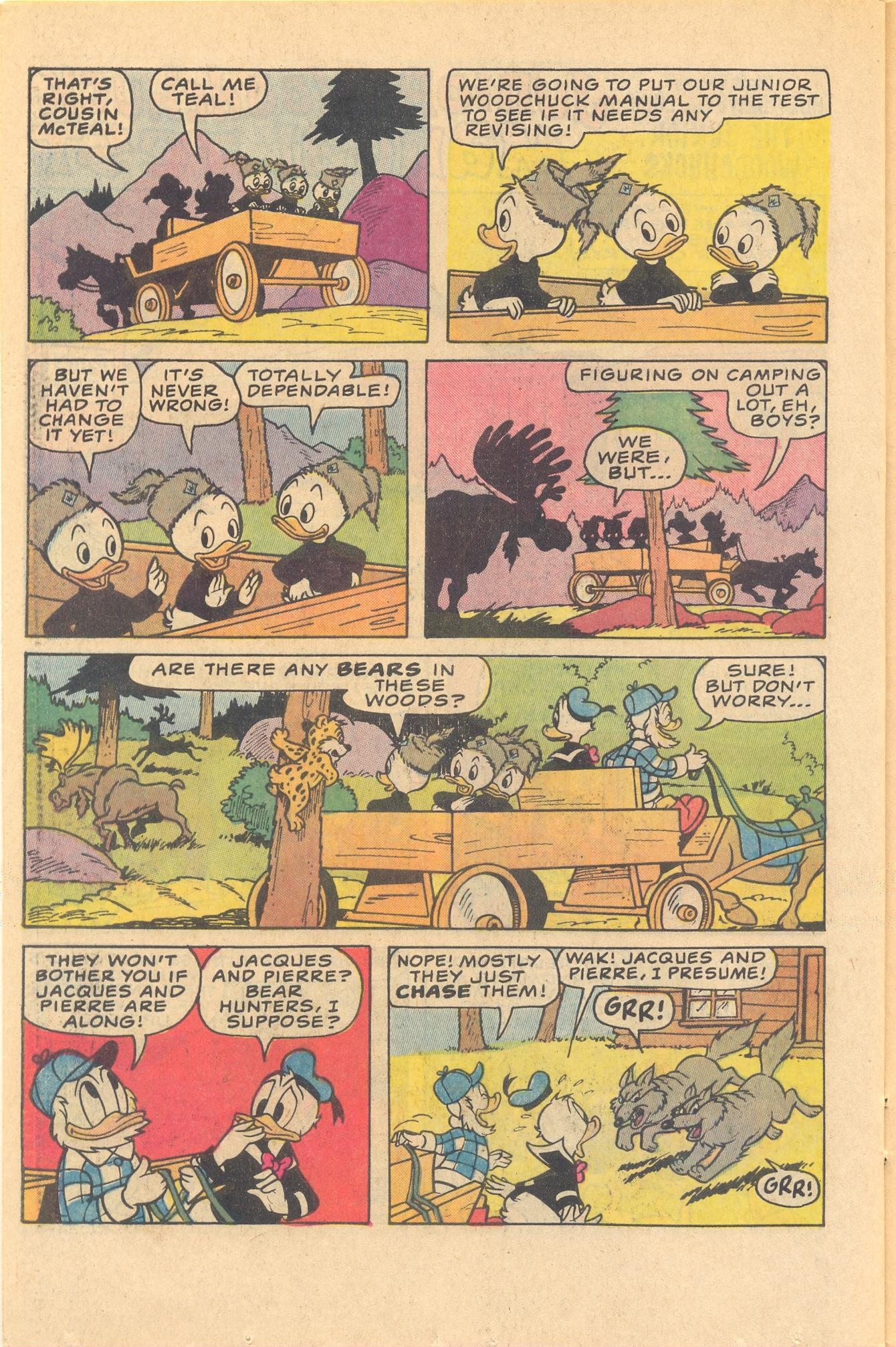 Read online Huey, Dewey, and Louie Junior Woodchucks comic -  Issue #81 - 26