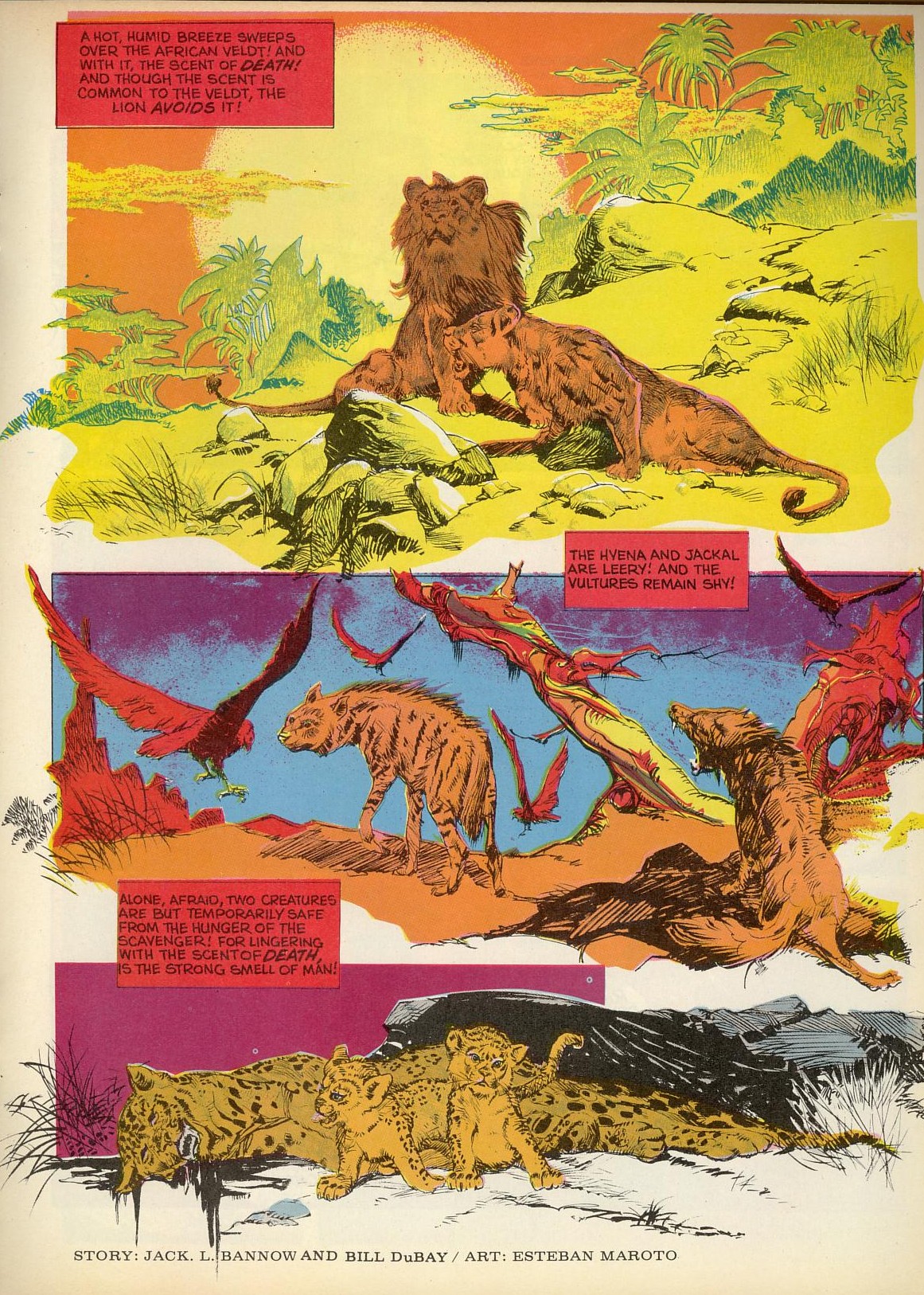 Read online Vampirella (1969) comic -  Issue #25 - 31