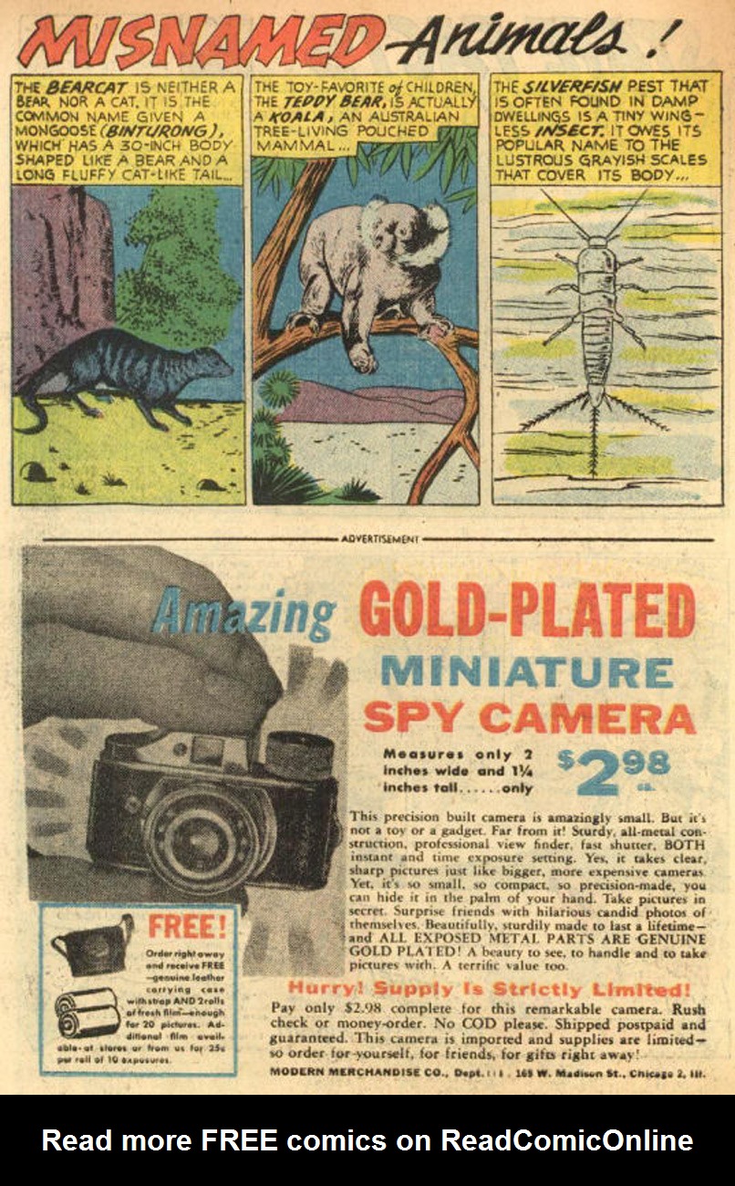 Read online The Adventures of Rex the Wonder Dog comic -  Issue #24 - 34