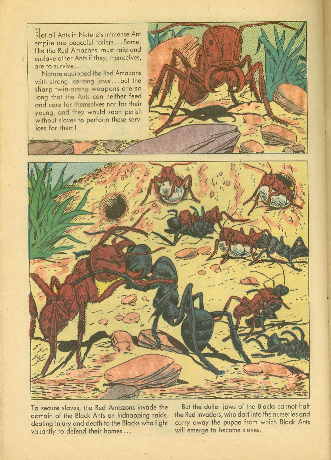 Read online Four Color Comics comic -  Issue #749 - 24