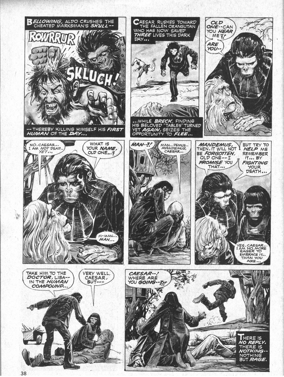 Read online Planet of the Apes comic -  Issue #22 - 39