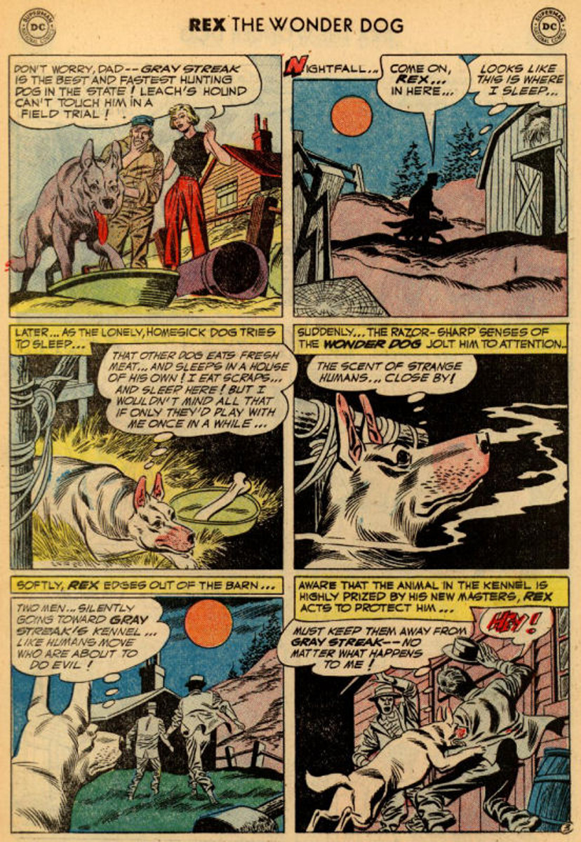 Read online The Adventures of Rex the Wonder Dog comic -  Issue #6 - 28