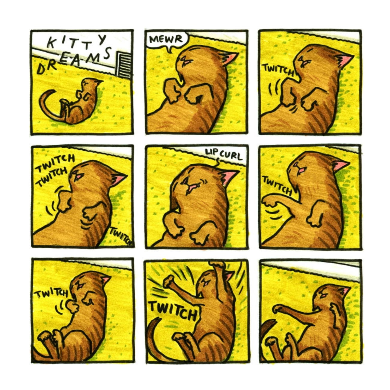 Read online Cats are Weird and More Observations comic -  Issue # TPB - 63