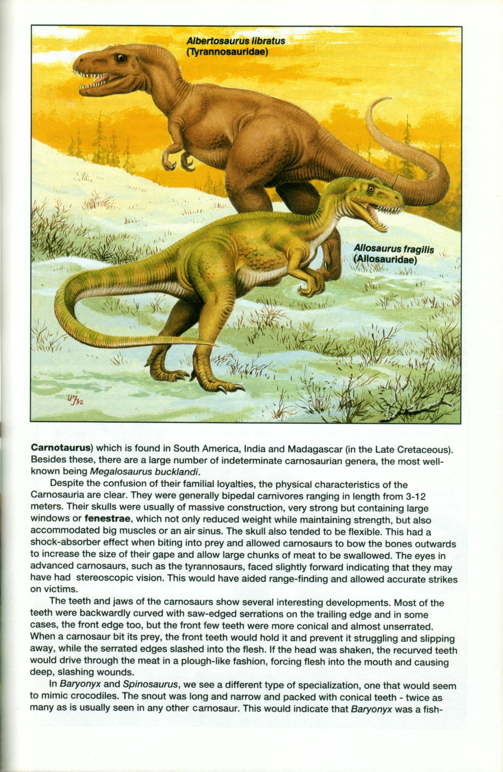 Read online Dinosaurs, A Celebration comic -  Issue #1 - 22