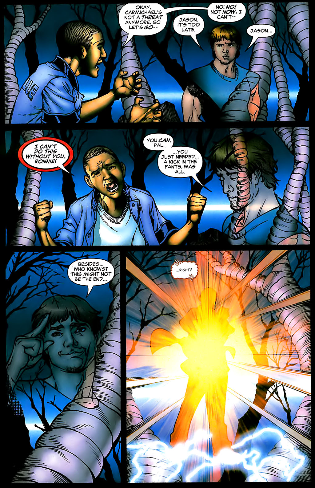 Firestorm (2004) Issue #13 #13 - English 17