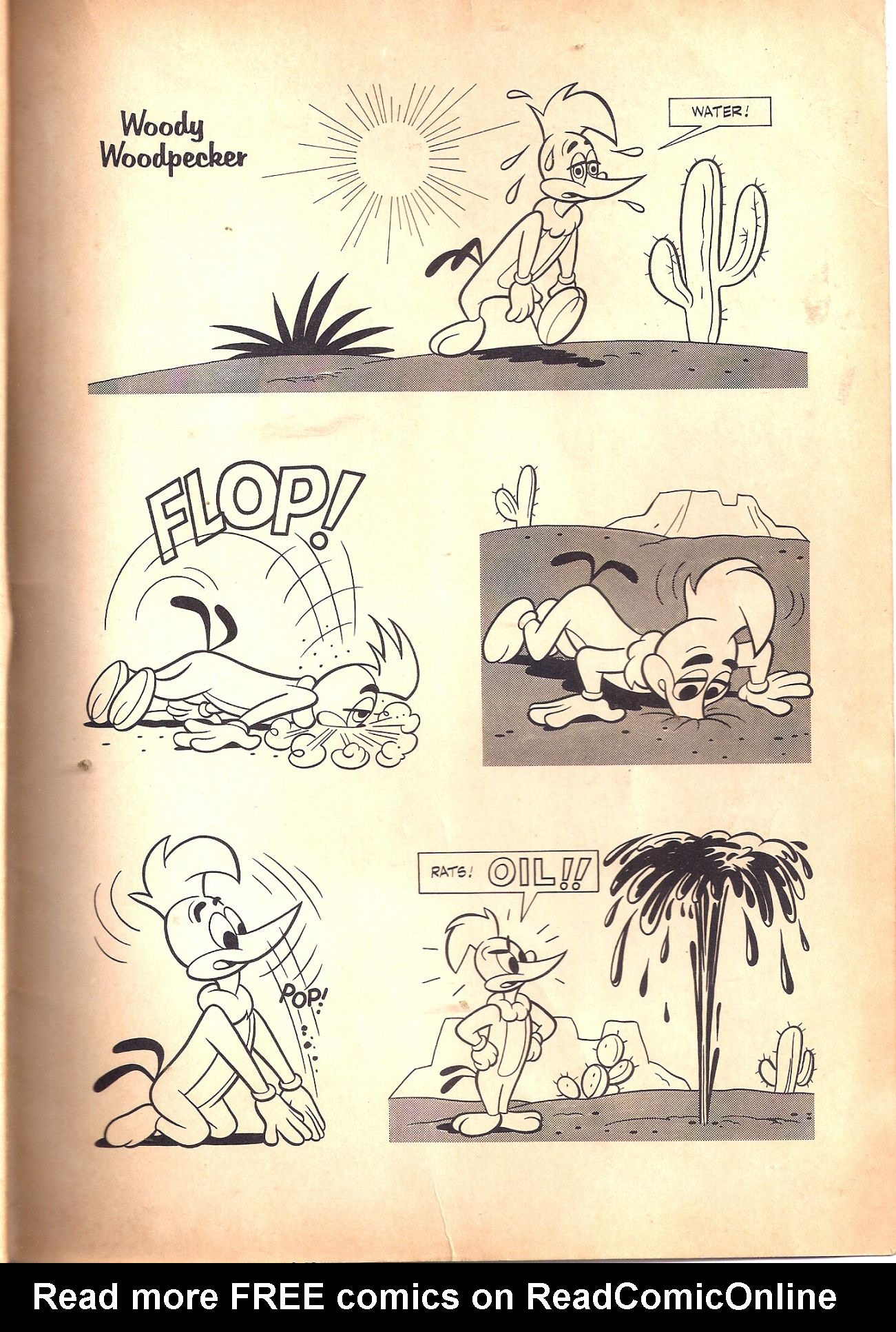 Read online Walter Lantz Woody Woodpecker (1962) comic -  Issue #74 - 83