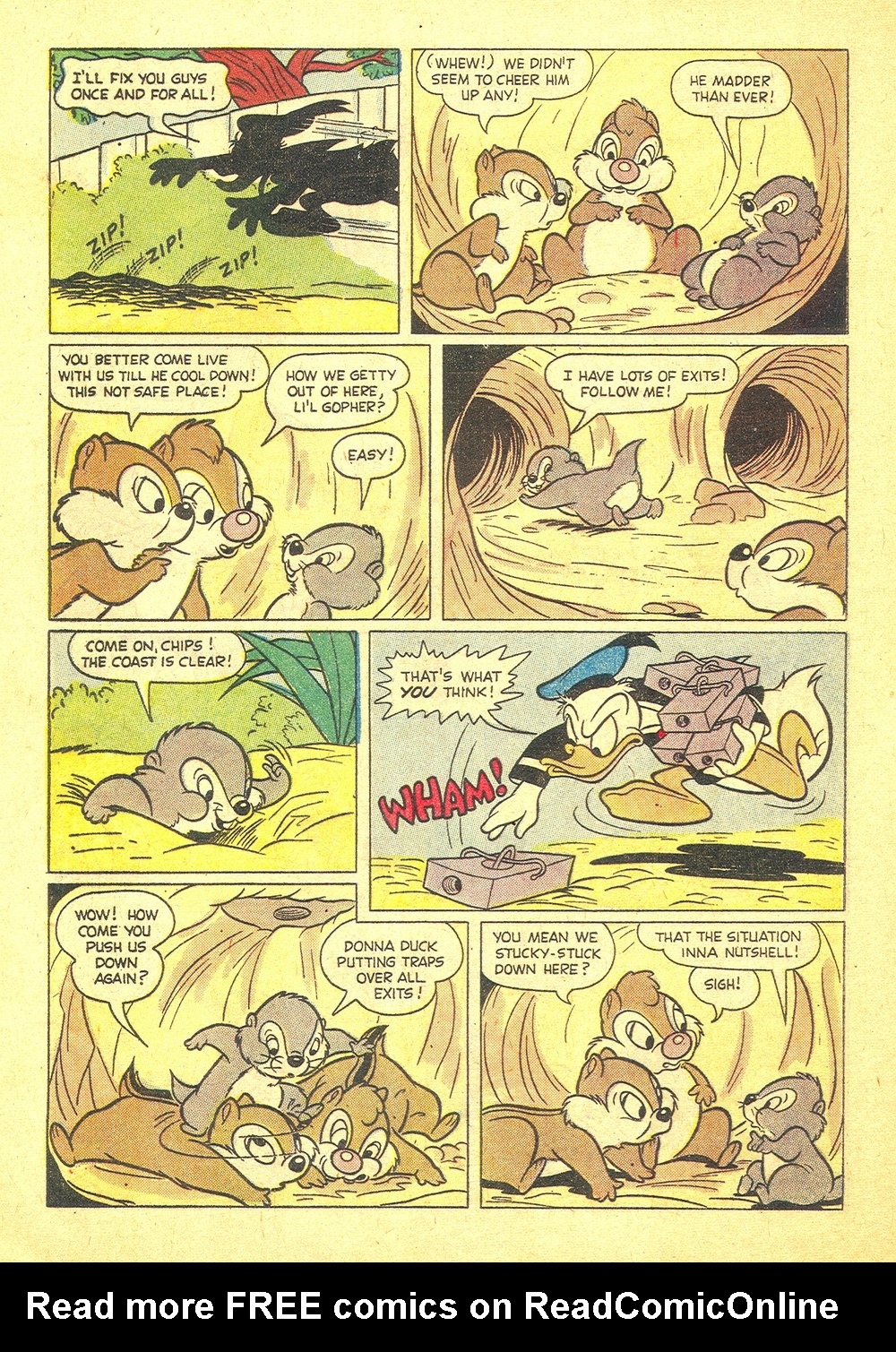 Read online Walt Disney's Chip 'N' Dale comic -  Issue #10 - 32
