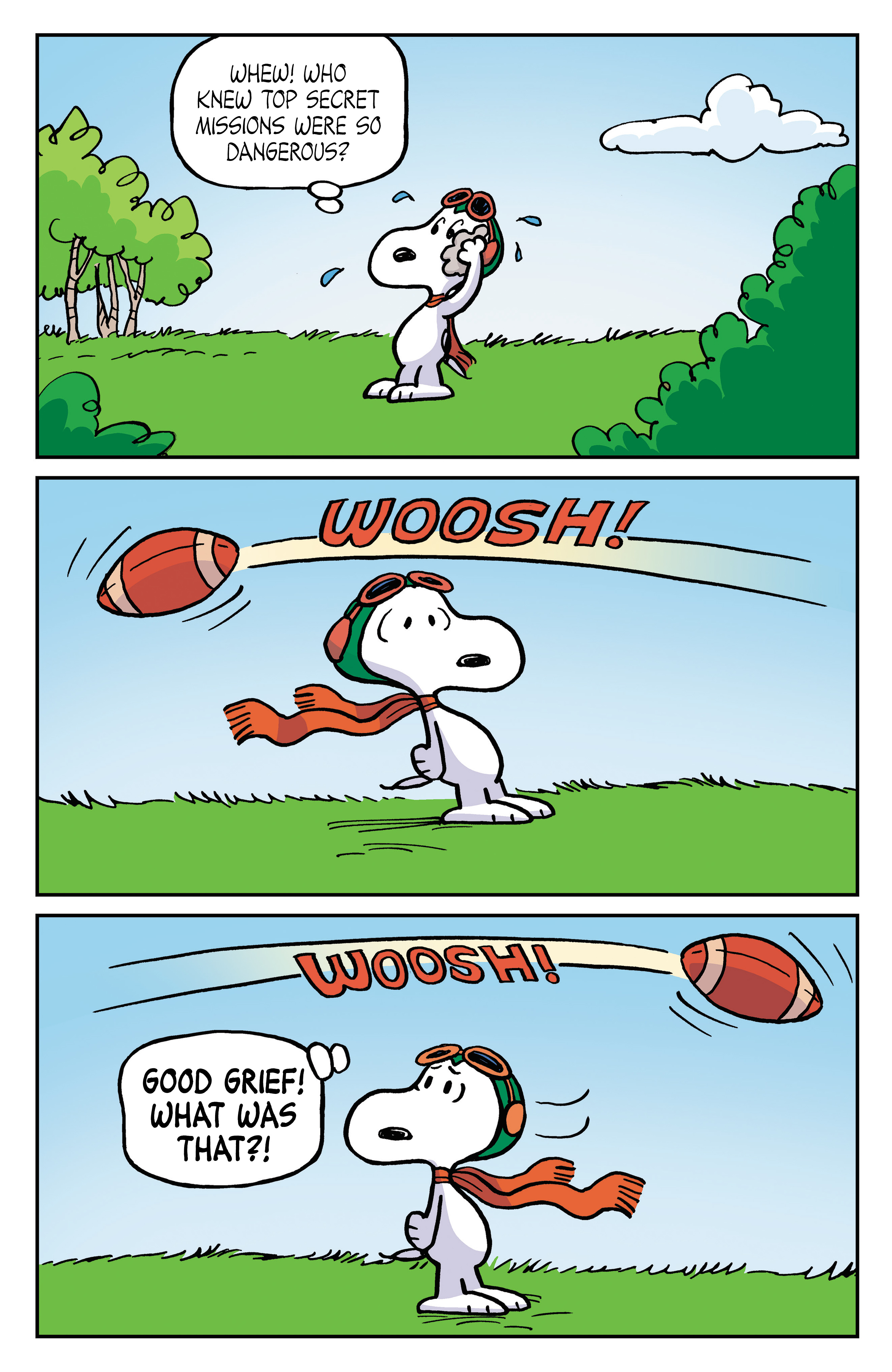 Read online Peanuts: Where Beagles Dare! comic -  Issue # Full - 43