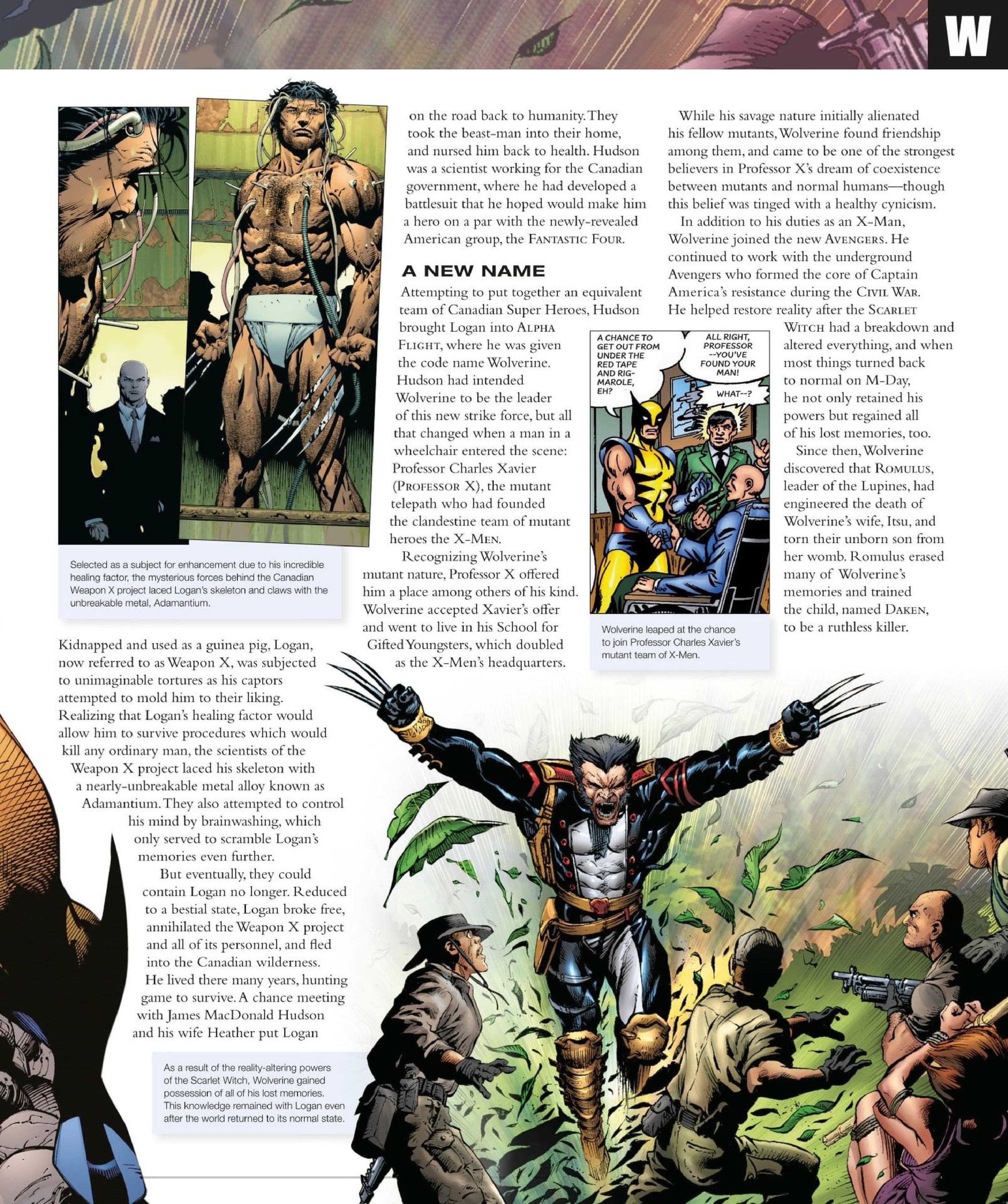 Read online Marvel Encyclopedia, New Edition comic -  Issue # TPB (Part 5) - 16