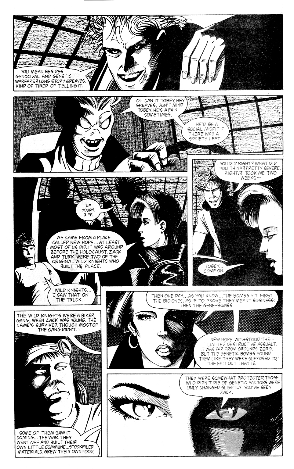 Wild Knights issue 1 - Page 14