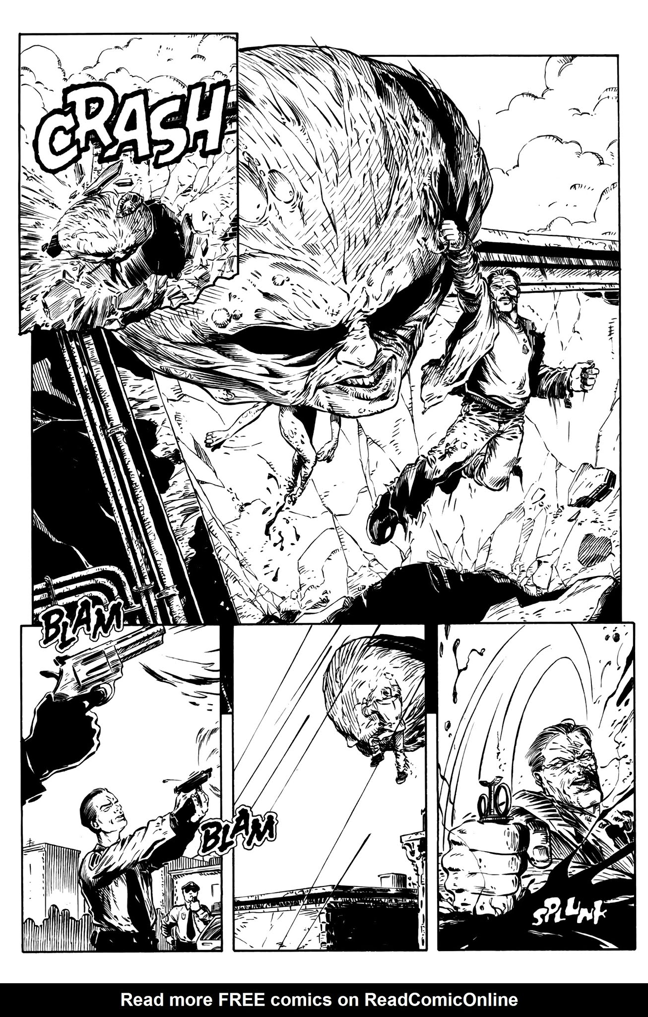 Read online Hairball: A Cal McDonald Mystery comic -  Issue # Full - 3