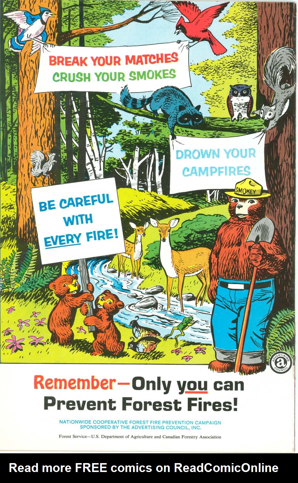 Read online The True Story of Smokey  Bear comic -  Issue # Full - 20