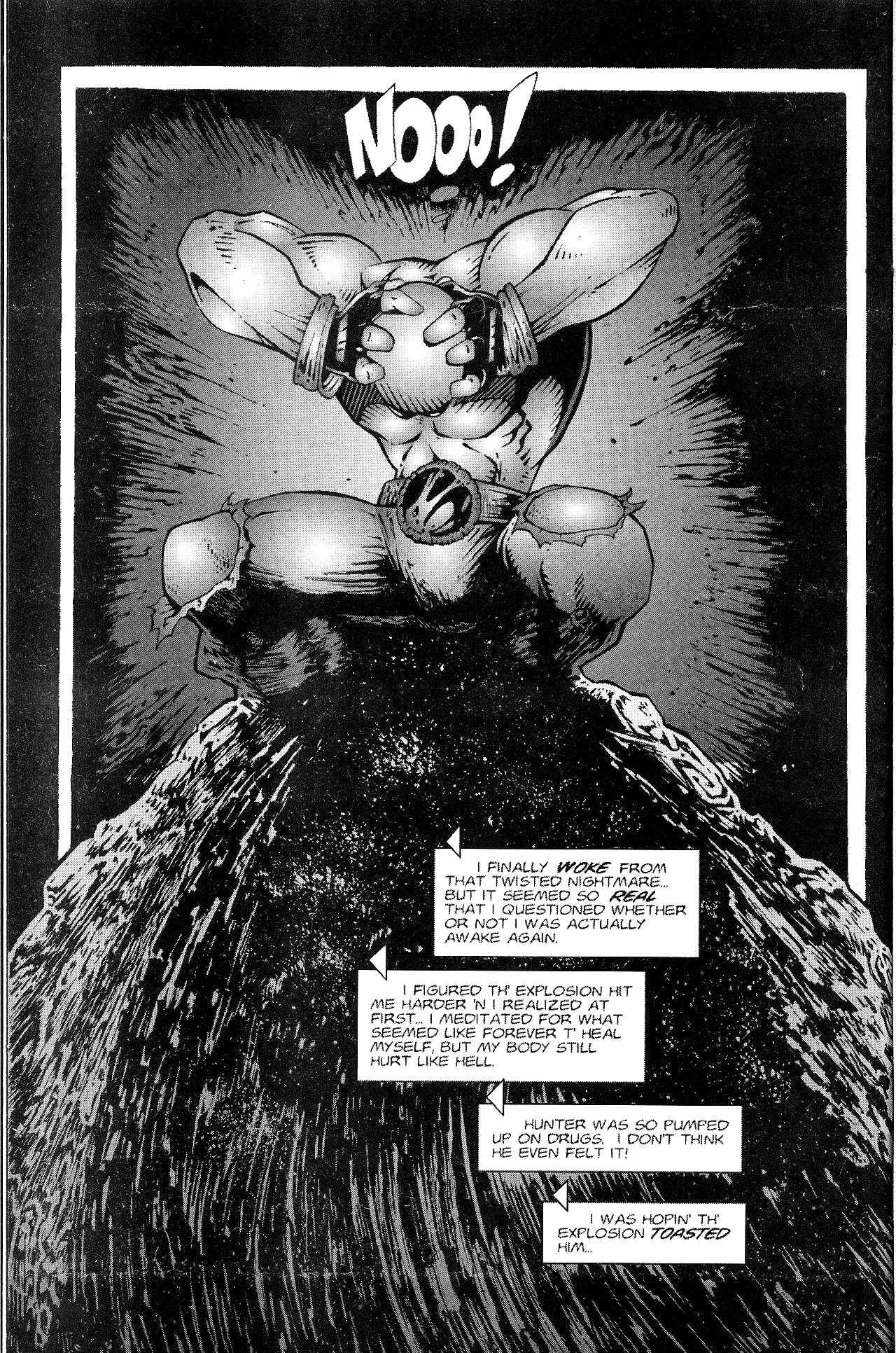 Read online Zen Intergalactic Ninja : The Hunted comic -  Issue #3 - 12