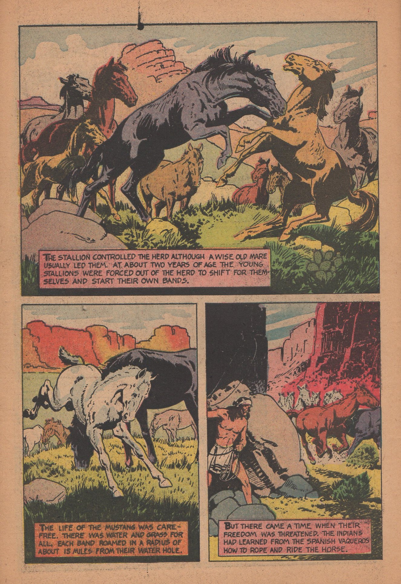 Read online Li'l Abner Comics comic -  Issue #89 - 30