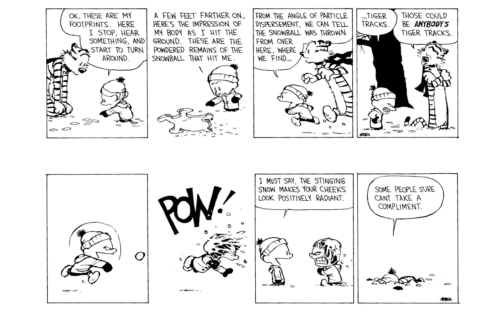 Calvin and Hobbes issue 10 - Page 83