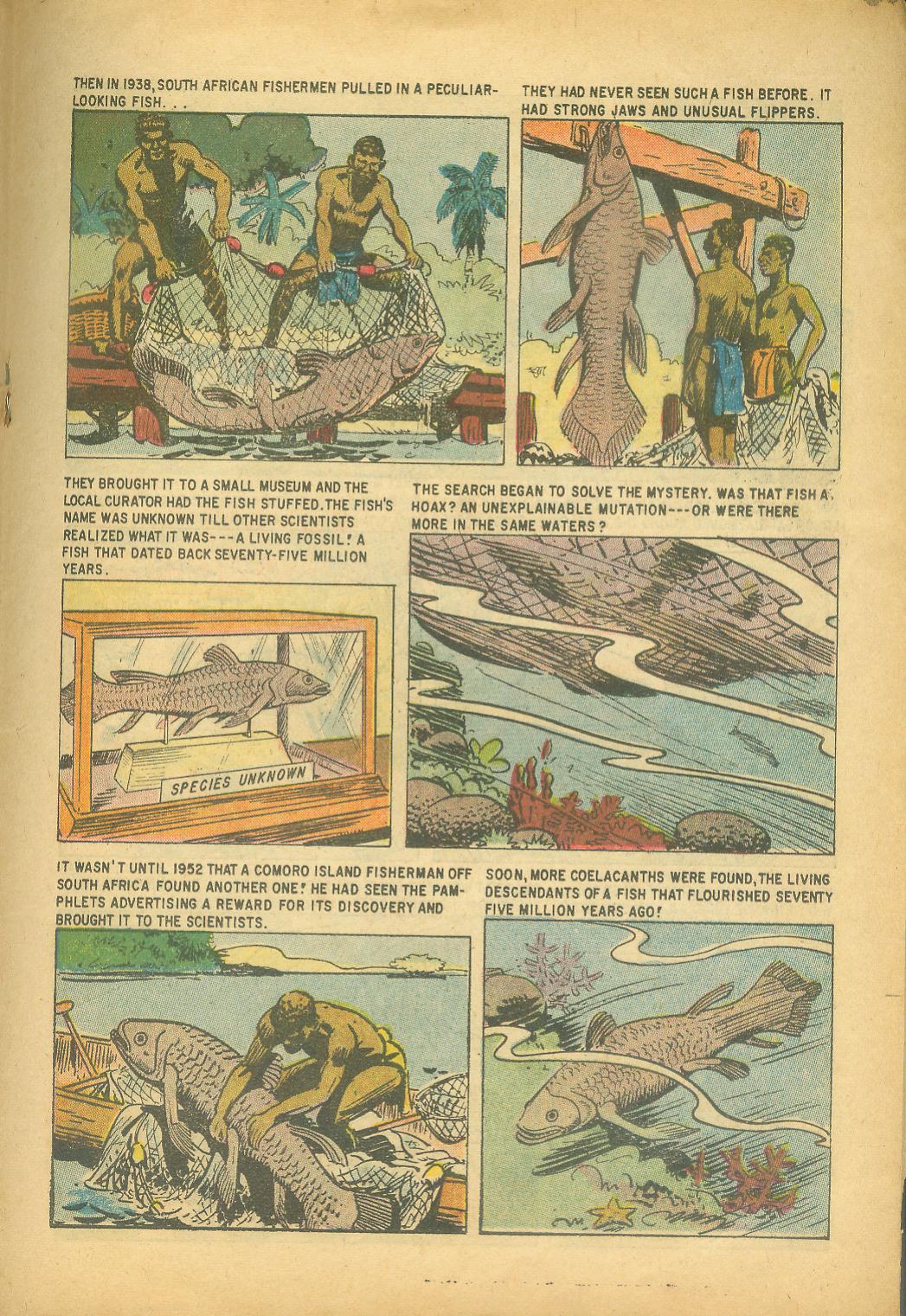 Read online Turok, Son of Stone comic -  Issue #18 - 19