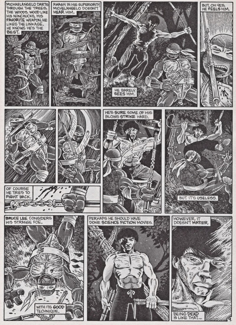 Teenage Mutant Ninja Turtles (1984) Issue #42 #42 - English 10