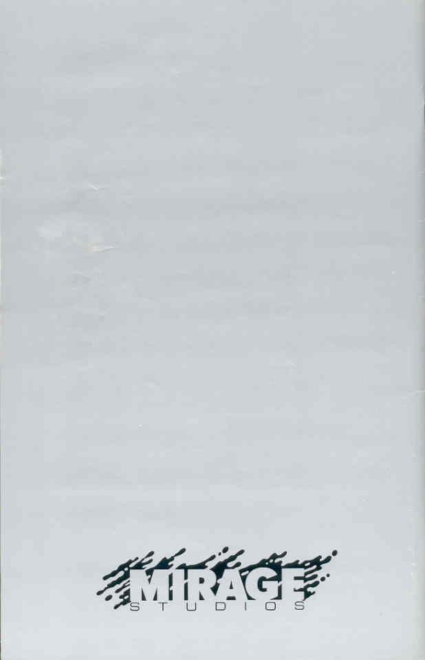 Read online Teenage Mutant Ninja Turtles (1984) comic -  Issue #21 - 2