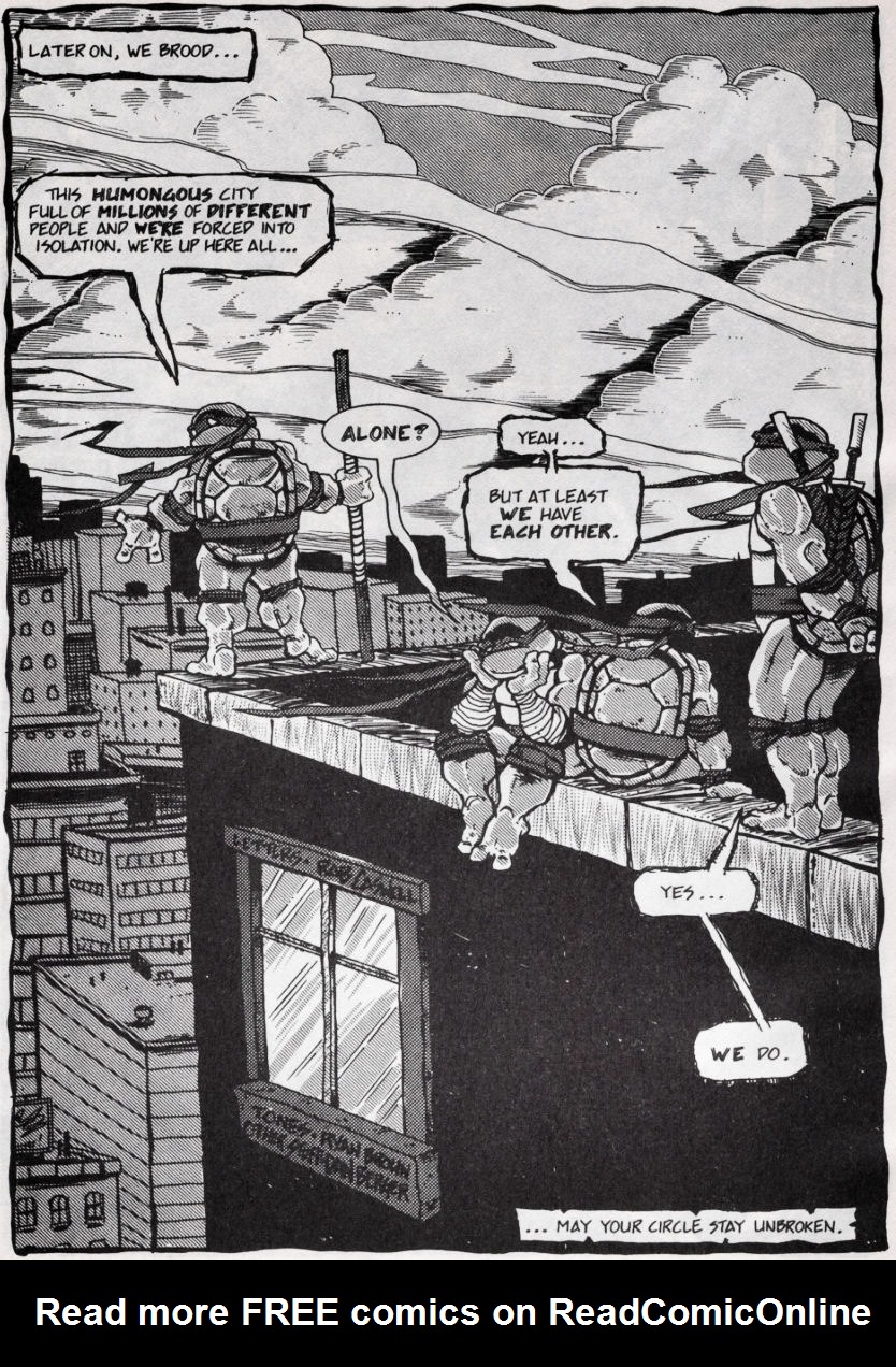 Teenage Mutant Ninja Turtles (1984) Issue #45 #45 - English 29